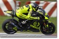 Valentino Rossi  poil