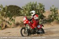 Rallye Maroc   duel Marchini Frtign