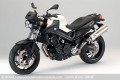 BMW prsente roadster F 800 R