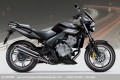 Honda CBF 600 N Boxer Design