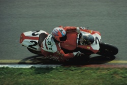 Carl Fogarty, le recordman de Ducati en WSBK avec 55 vitoires et 4 titres de champion