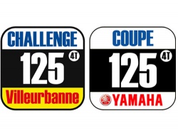 Coupe Yamaha YZF-R 125 à Villeurbanne