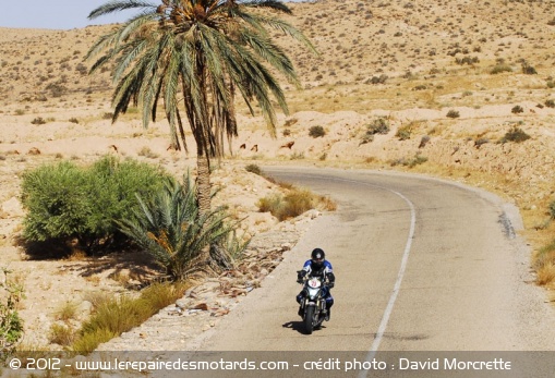 Tunisia Rally Tour : victoire d'étape 6 Nuques