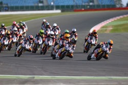 Red Bull MotoGP Rookies Cup Silverstone - Photo : Red Bull