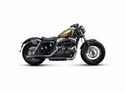 Echappement Akrapovic pour Harley-Davidson Sportster