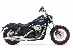 Custom Harley-Davidson Street Bob Special Edition