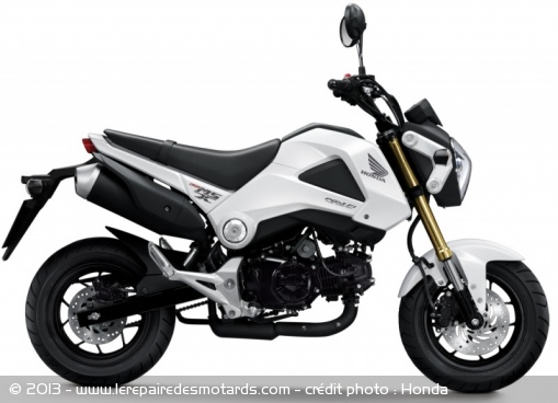 Honda MSX 125 : les photos officielles