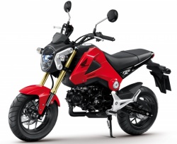 Honda MSX 125 : les photos officielles