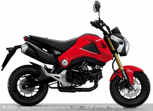 Honda MSX 125 : les photos officielles