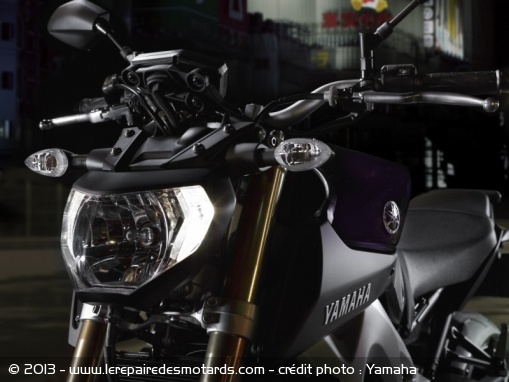 Roadster Yamaha MT-09