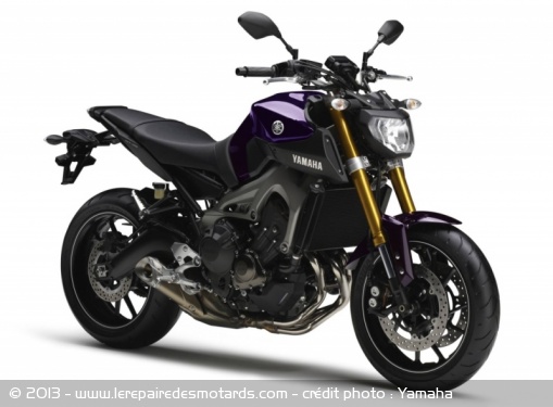 Roadster Yamaha MT-09