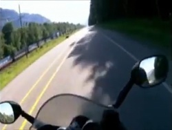 Vidéo : l'ours et le motard