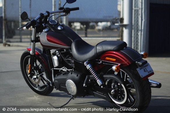 Custom Harley-Davidson Street Bob Special Edition