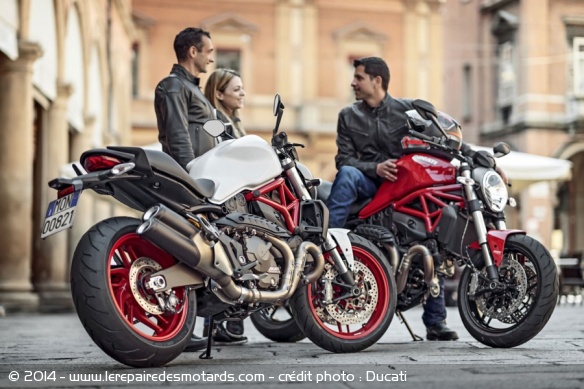 Roadster Ducati Monster 821