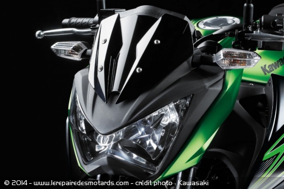 Roadster Kawasaki Z300