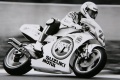 Suzuki Schwantz Biker Classics