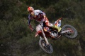 MXGP   KTM Cairoli contrle FIM