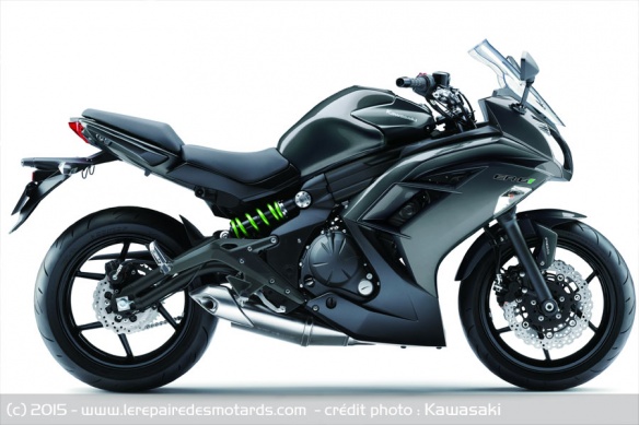 Kawasaki ER-6f Gris Metallic Carbon