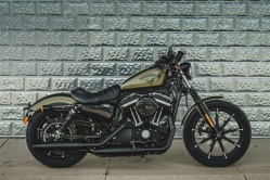 Sportster Harley-Davidson Iron 883