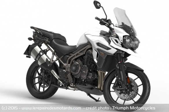 Trail Triumph Tiger Explorer XR