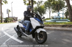 Le Forza 125 cartonne en France