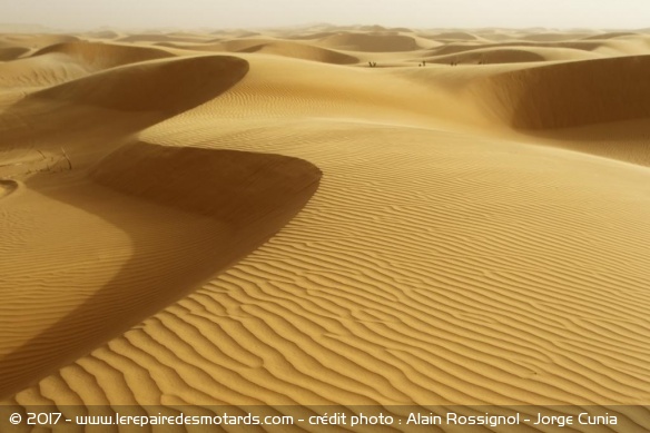 Les dunes mauritaniennes