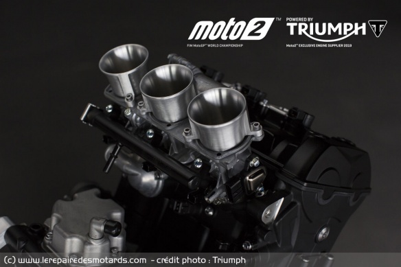 Triumph en Moto2