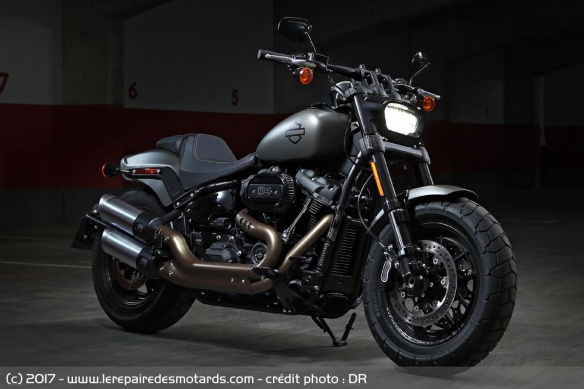 Harley Fat Bob