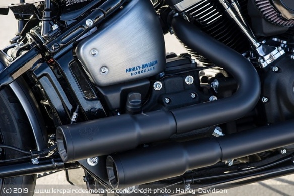 La Steel-Chop repose sur une Street Bob