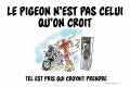 Un pigeon sauver permis