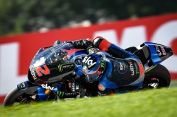 Moto2 : victoire Bezzecchi sur tapis vert