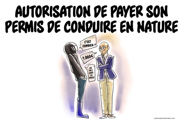 Pays-Bas, les leçons de conduite payables 'en nature'