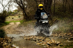 Des stages trail spécial Harley-Davidson