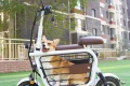 Un scooter lectrique emmener animal compagnie