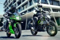 Nouveaut 2024 Kawasaki Z125 Ninja 125 2023