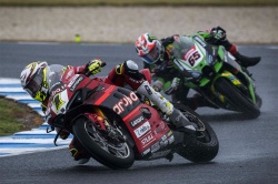 WSBK : Bautista ouvre le bal en Australie - Crédit photo : Ducati