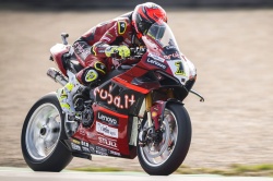 WSBK : Doublé de Bautista à Assen - Crédit photo : Ducati