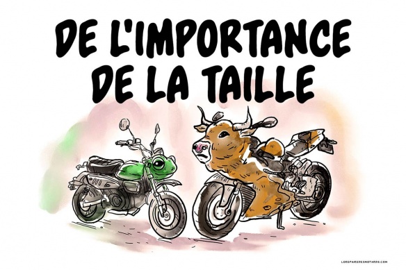 Monkey Kong : de l'importance de la taille à moto