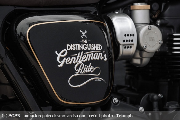 Caches latéraux de la Triumph DGR Limited Edition