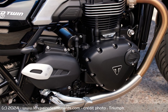 Le twin de la Triumph Speed Twin 900