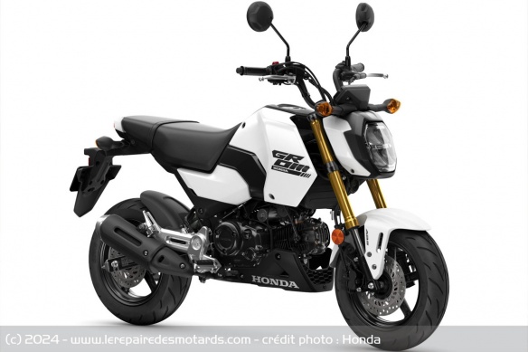 Moto Honda MSX125 Grom 2025