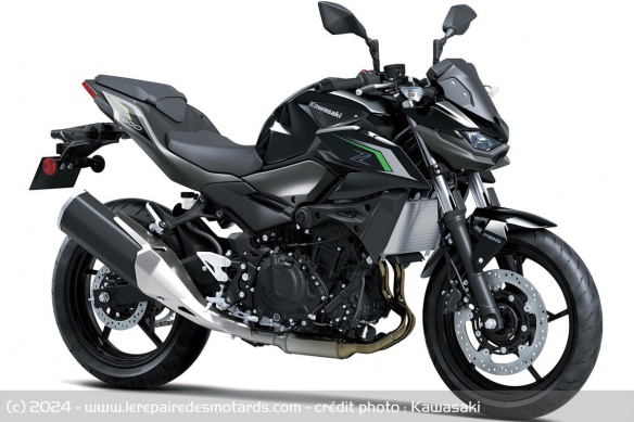 Roadster Kawasaki Z500 2025