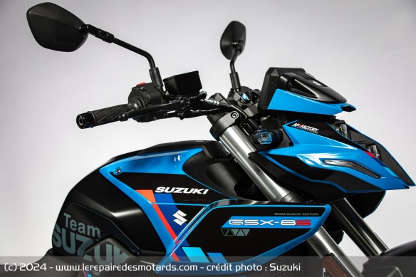 Roadster Suzuki GSX-8S Team Suzuki