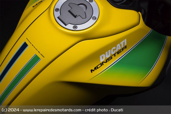 Roadster Ducati Monster Senna