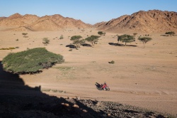 Dakar : Brabec s'impose avant le sprint final - Crédit photo : A.S.O./F. Le Floc'h/DPPI