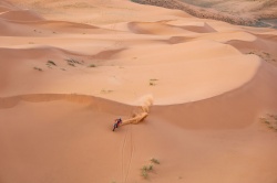 Dakar : K. Benavides remporte la 8e étape - Crédit photo : A.S.O./F.Gooden/DPPI