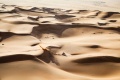 Dakar 2e victoire étape Benavides