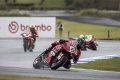 WSBK Triplé Bulega Australie