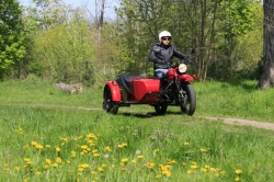 Tout sur la conduite des side-cars : Ural dans les bois