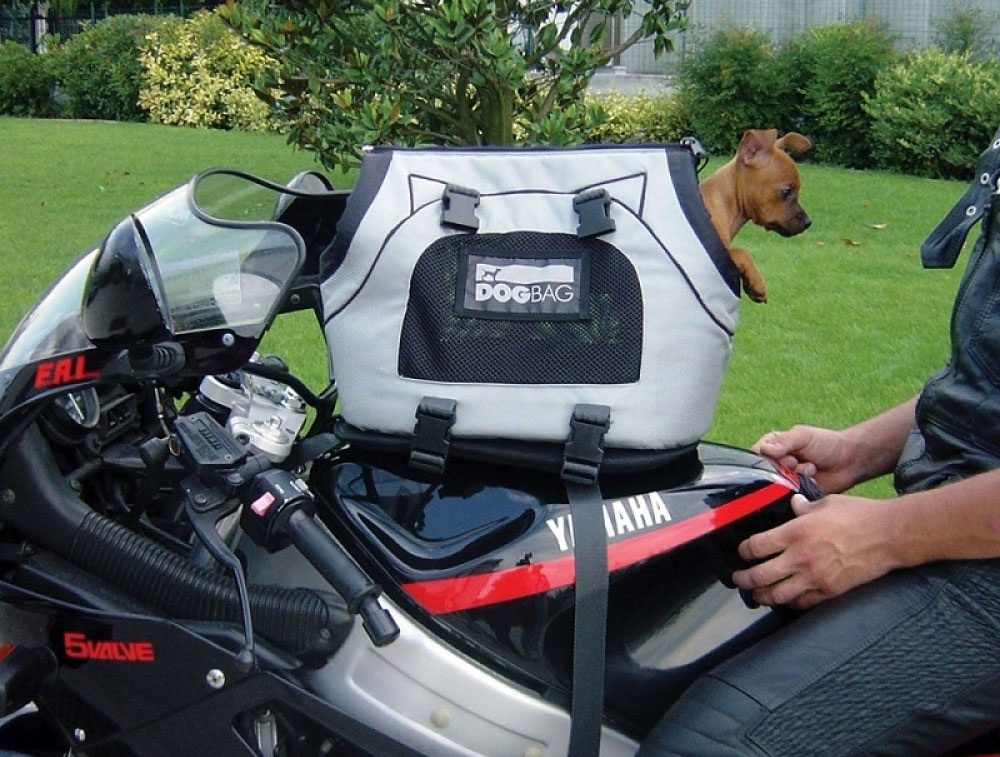 Sacoche de réservoir pour animaux Puppy Bagster moto : www.dafy